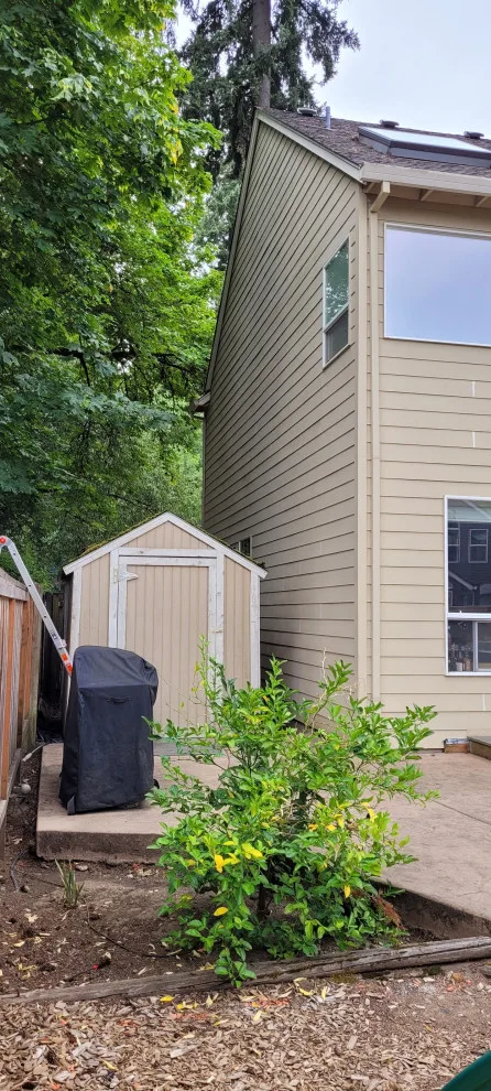 Monochrome Exterior Painting by Gaxiola's Painting LLC - Photo 17