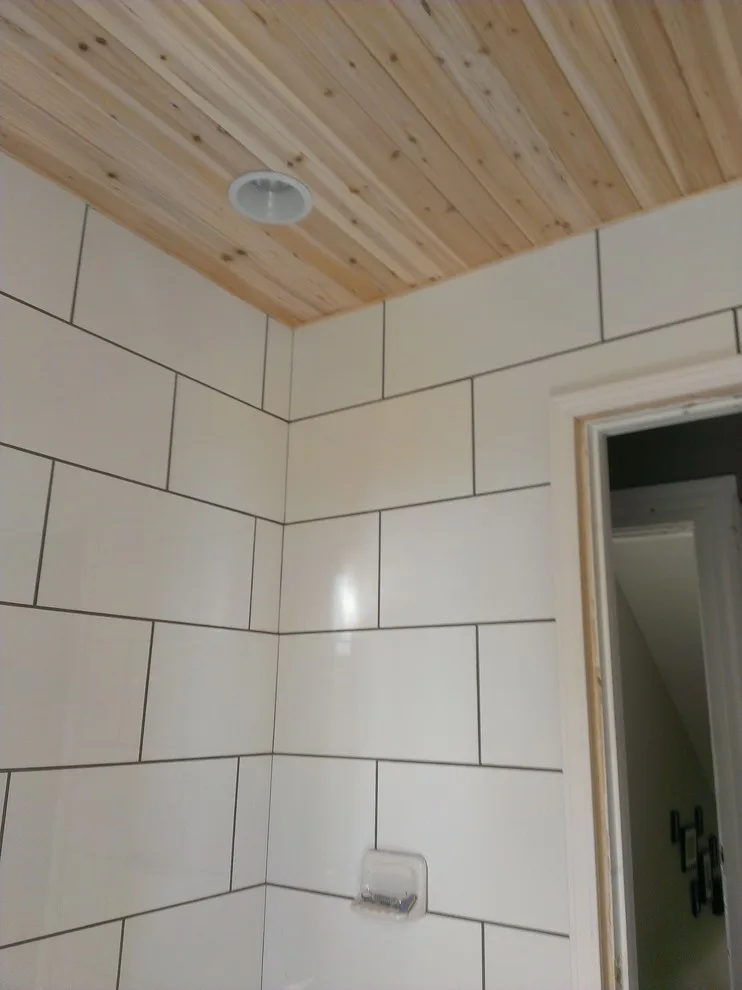 Bloomingdale Bathroom Renovation by Bristle Painting Company - Photo 4