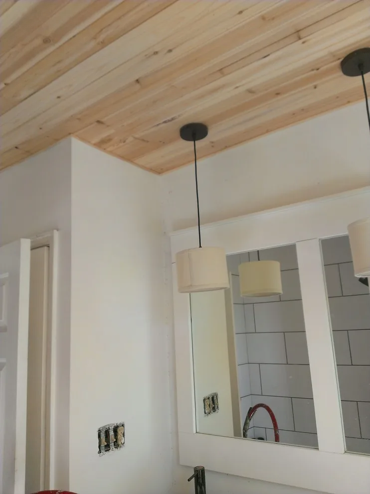 Bloomingdale Bathroom Renovation by Bristle Painting Company - Photo 2