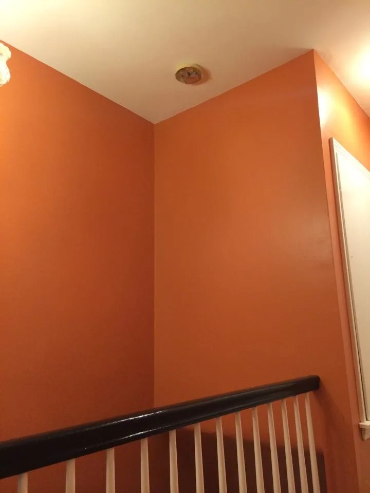 Vividly Hued Interior Spaces by Speed Pro Painting - Photo 10