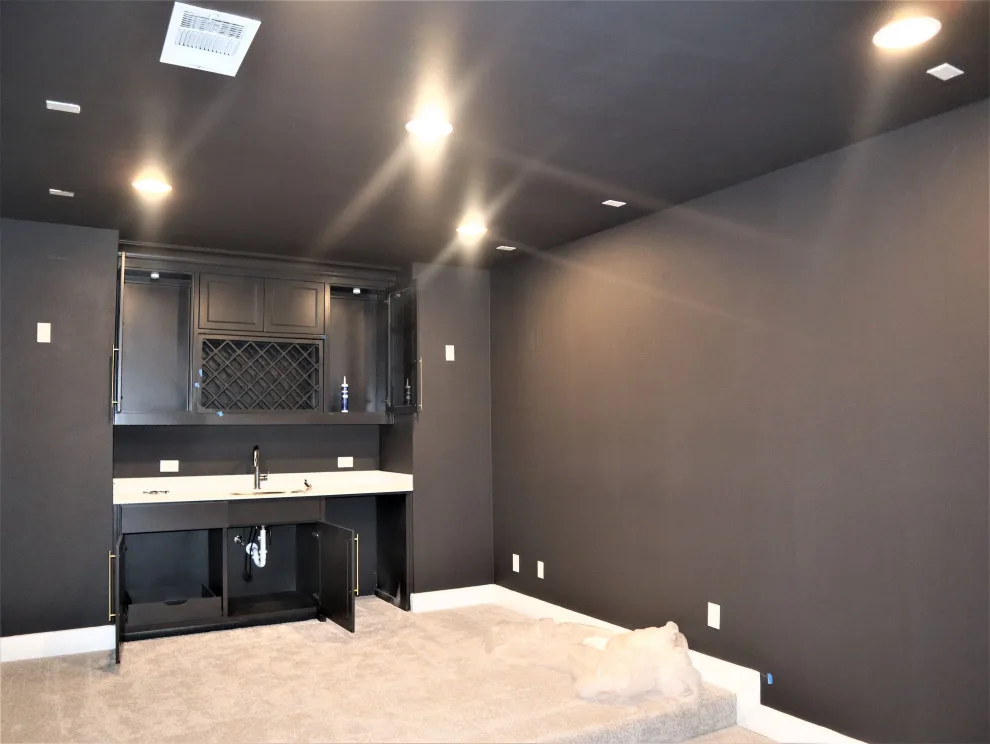 Celina, TX Brighton by America's Painters Pro - Photo 29