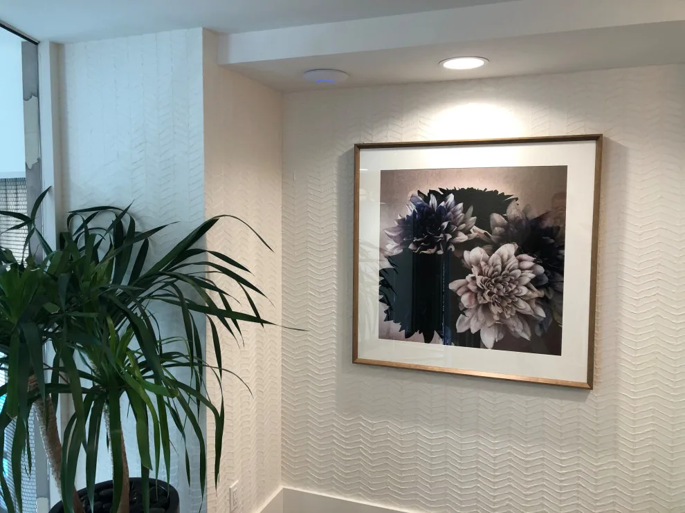 Broadstone Vilara Residential Apartments by Precision Wallcovering And Painting - Photo 11