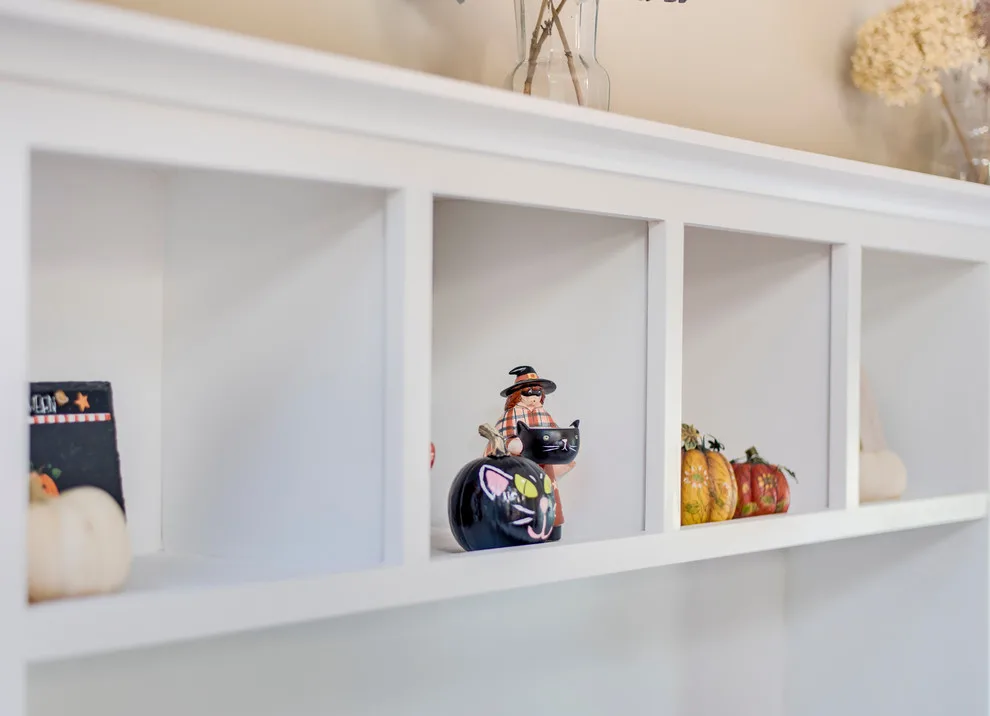 Integrated Wall Unit by Premiere Pros - Photo 5