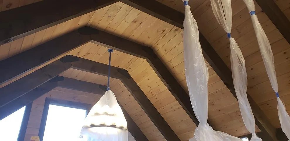 Wood Staining for Cabins by Xtreme Painting - Photo 3