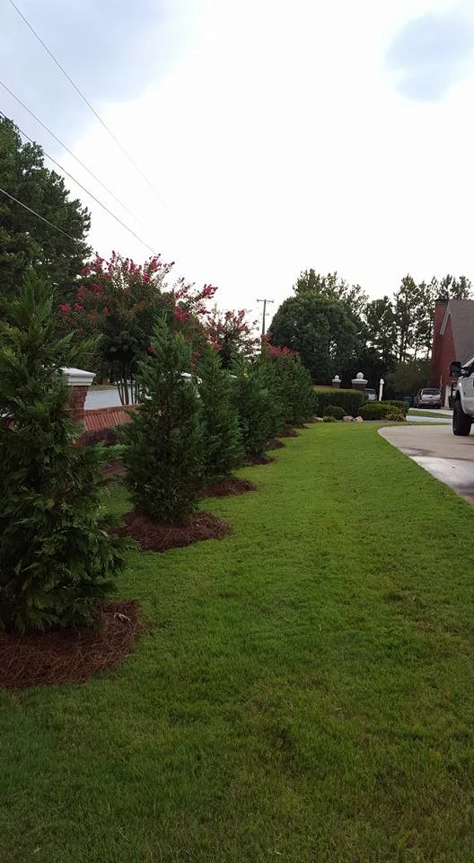 Georgia Landscaper Network - Photo 2