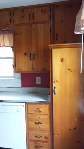 Cabinet restoration by Protect And Preserve Painting, LLC - Photo 5