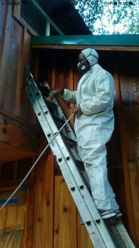California Barn Transformation by CJ Williams Painting Service - Photo 5