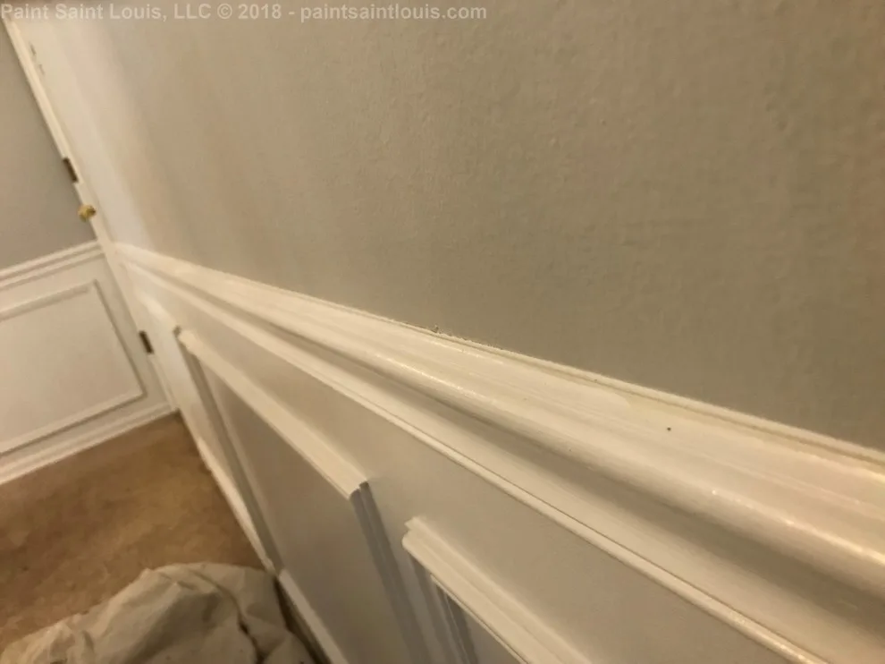 Chesterfield 2018 by Paint Saint Louis, LLC - Photo 22