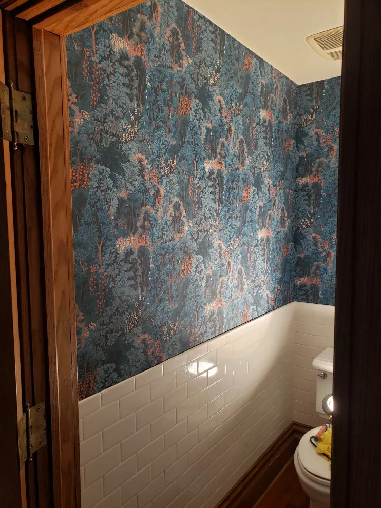 Lakeview Chicago: Wallpaper Removal and Installation by Windy City Painters - Photo 2