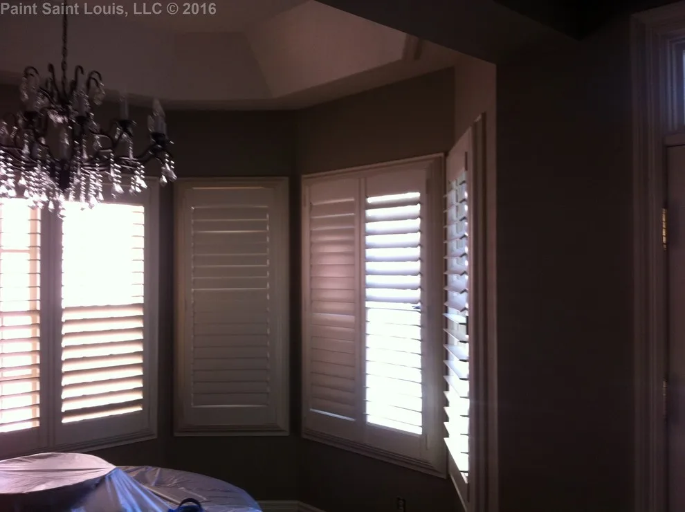 Clayton 2016 by Paint Saint Louis, LLC - Photo 31