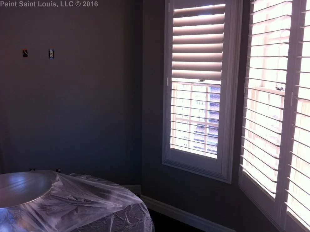 Clayton 2016 by Paint Saint Louis, LLC - Photo 33