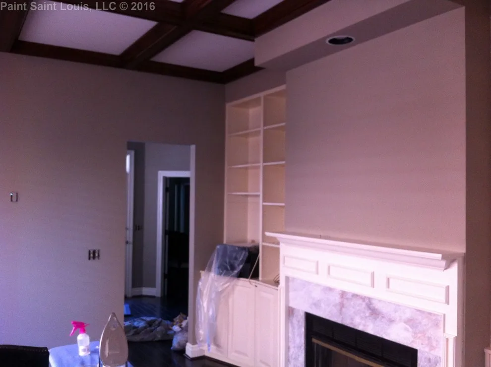 Clayton 2016 by Paint Saint Louis, LLC - Photo 30