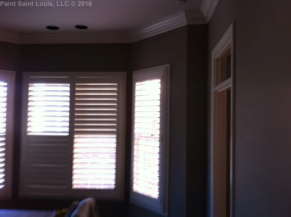 Clayton 2016 by Paint Saint Louis, LLC - Photo 8
