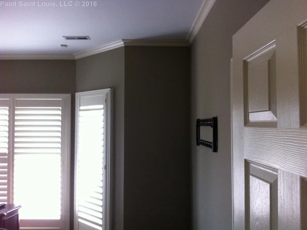 Clayton 2016 by Paint Saint Louis, LLC - Photo 26