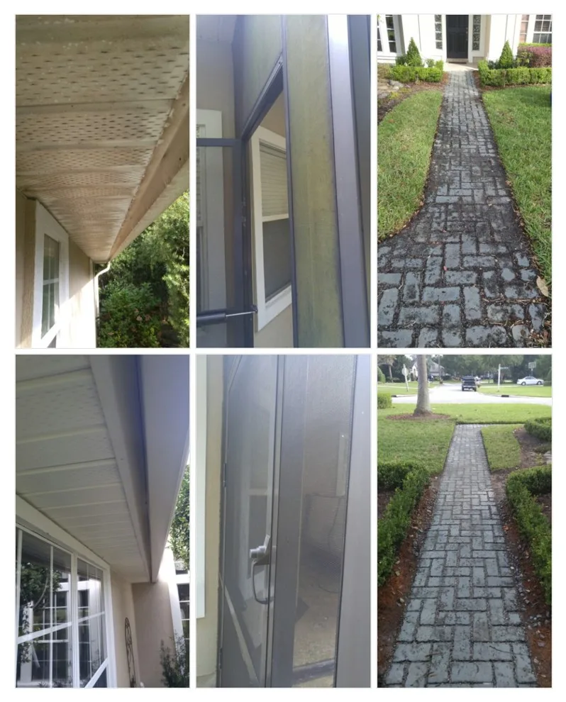 mosaics by Lorusso Painting & Home Repair, Llc - Photo 22
