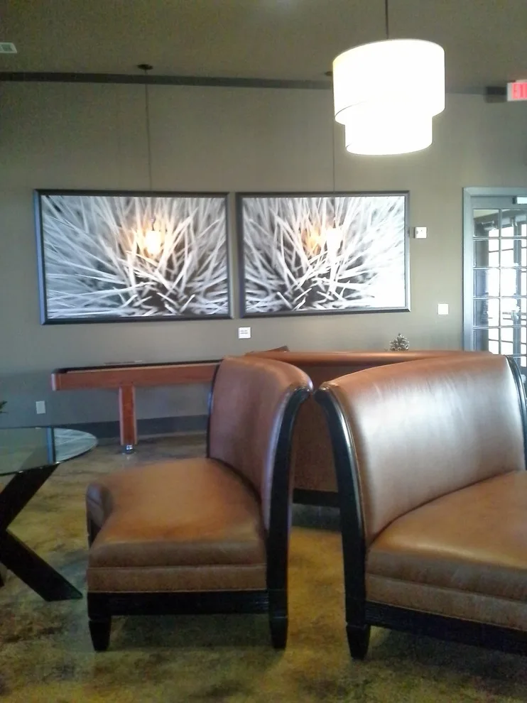 Business Coating by ONYX Paint & Tile - Photo 40