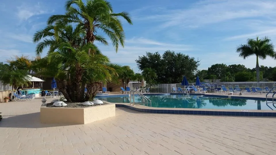 Business Ventures by N&N PAINTING Of SWFL - Photo 19