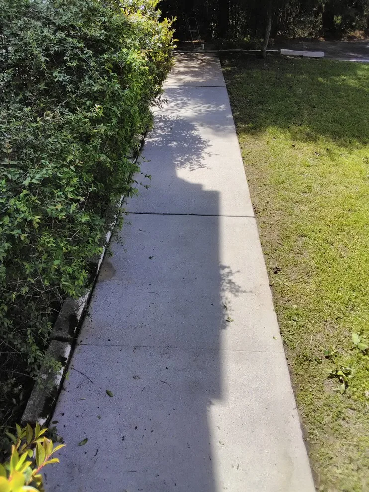 Thorough Pressure Washing - Longview by Paint Plus - Photo 18