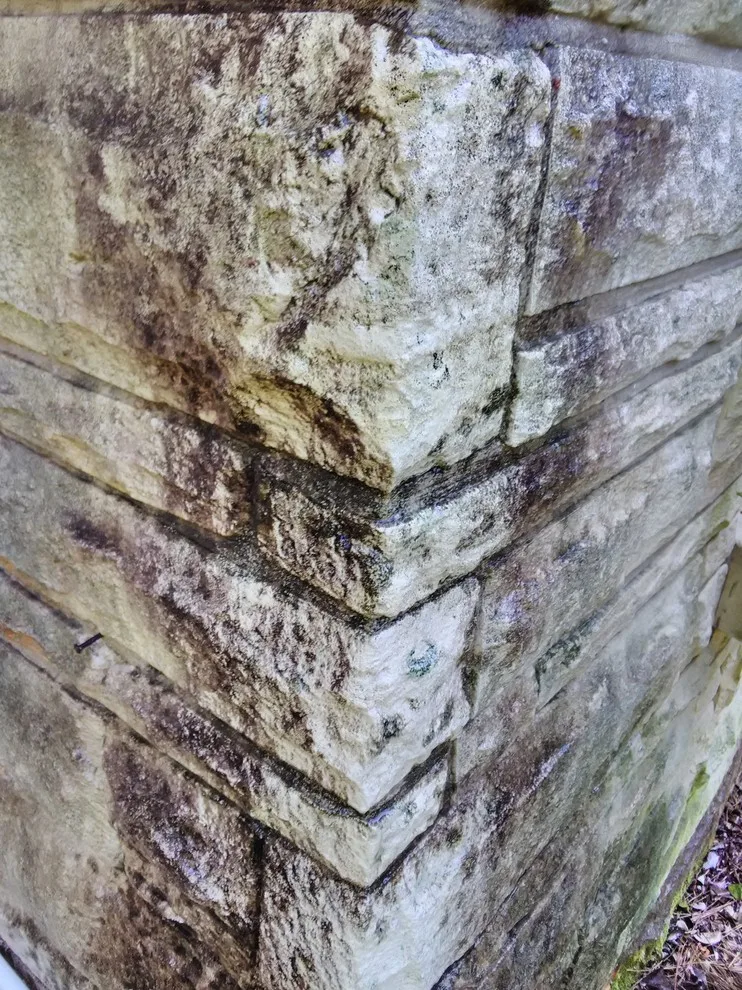 Thorough Pressure Washing - Longview by Paint Plus - Photo 13