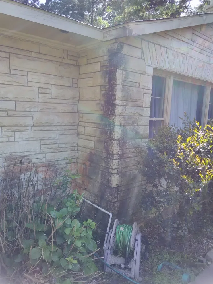 Thorough Pressure Washing - Longview by Paint Plus - Photo 8