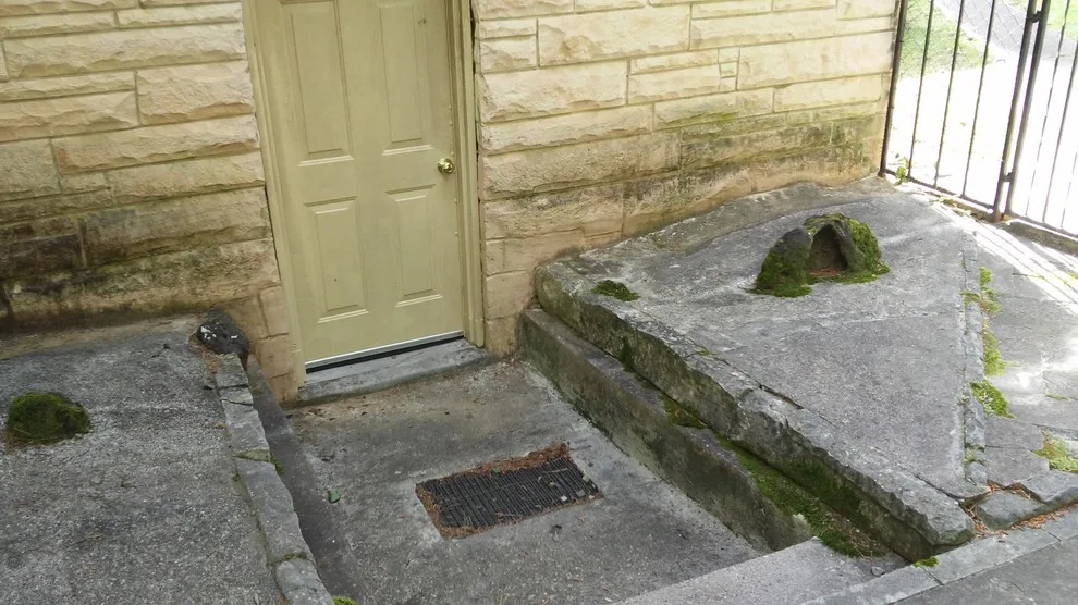 Thorough Pressure Washing - Longview by Paint Plus - Photo 12
