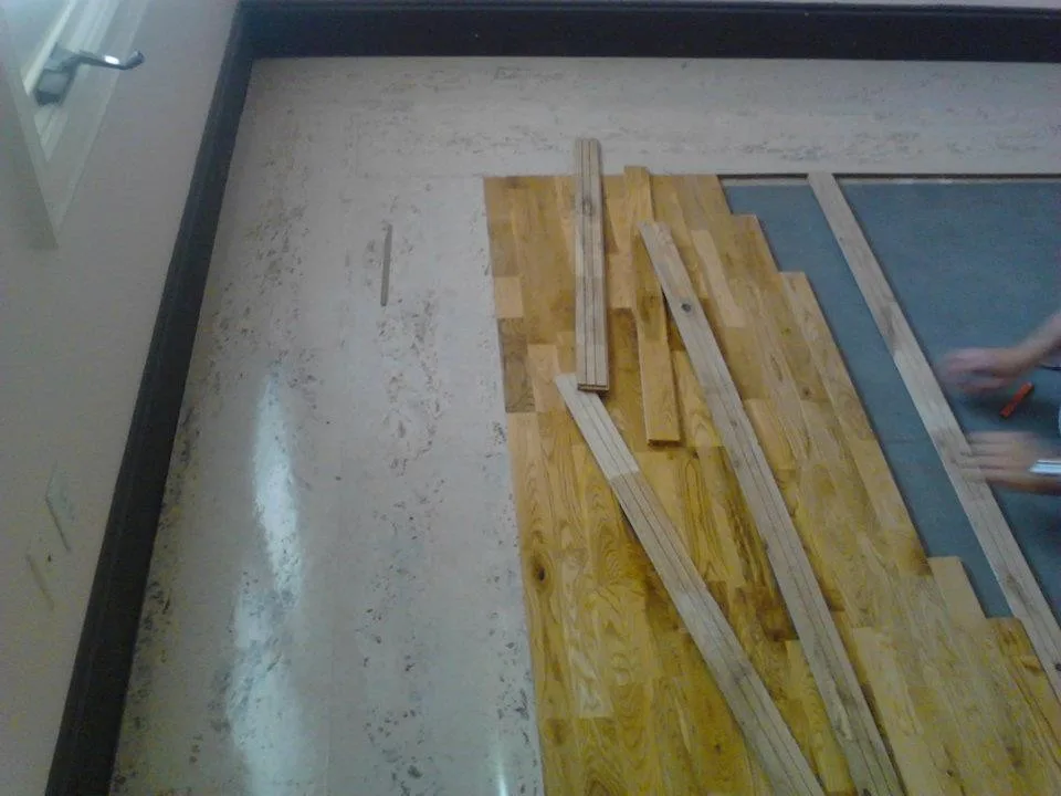 Finished Projects by Guy The Painter - Photo 15