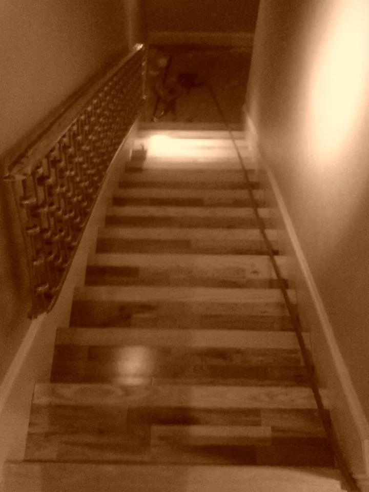 Finished Projects by Guy The Painter - Photo 17
