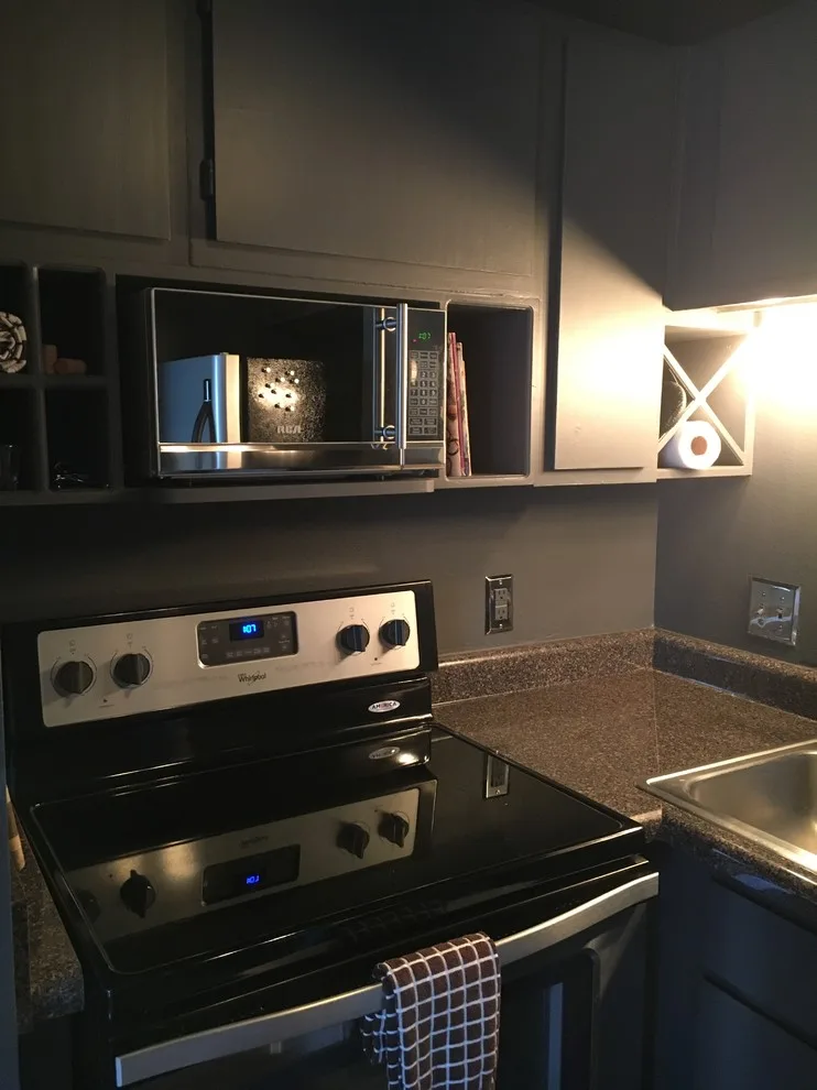 Modern Apartment in Fayetteville by Lasun's Painting - Photo 7