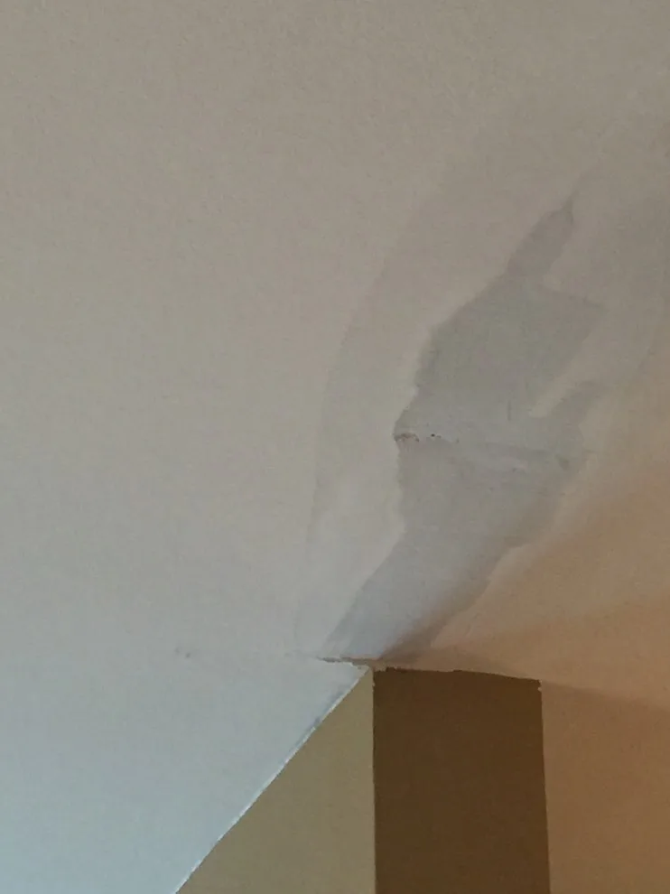 Crystal's Condominium Sale Preparation by Speed Pro Painting - Photo 2