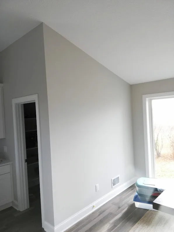 Dayton Equestrian Home Renovation by Palmer Painting - Photo 6