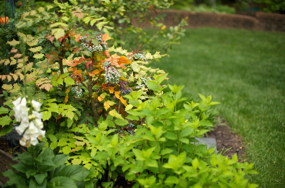 Stockner's Rockville Nurseries, Inc. - Photo 11