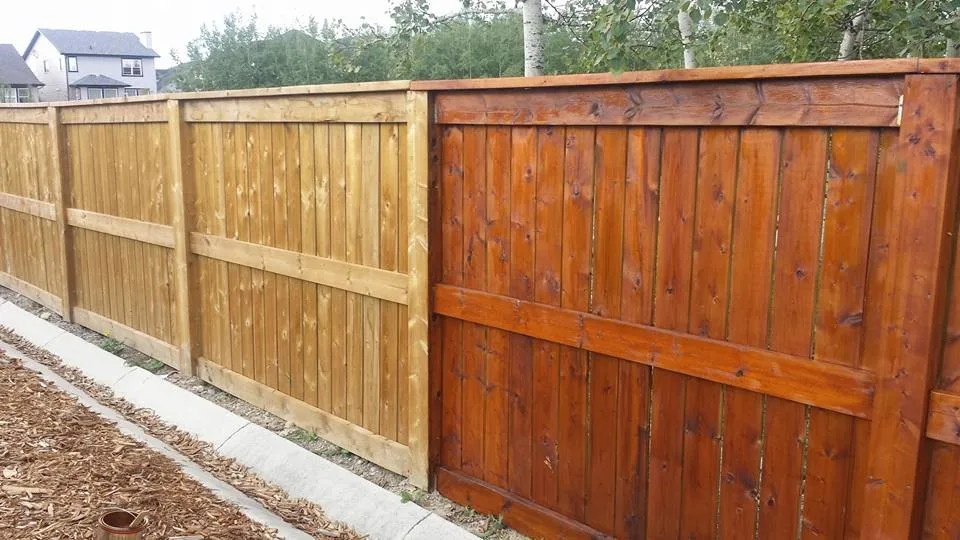 Staining Projects for Decks, Patios, and More by High Rollers Painting - Photo 2