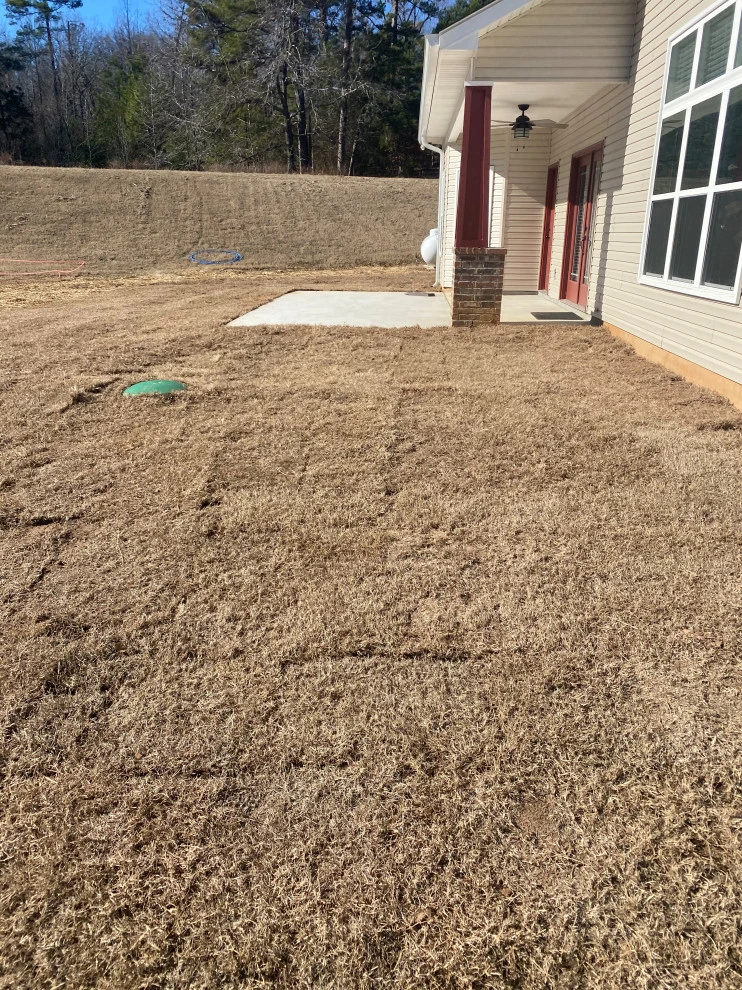Pool landscaping and patio by Going The Extra Mile Landscape - Photo 17