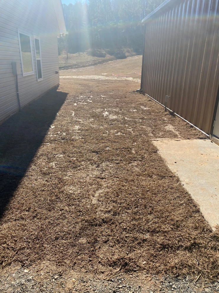 Pool landscaping and patio by Going The Extra Mile Landscape - Photo 14