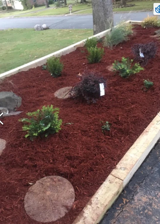 Going The Extra Mile Landscape - Photo 12