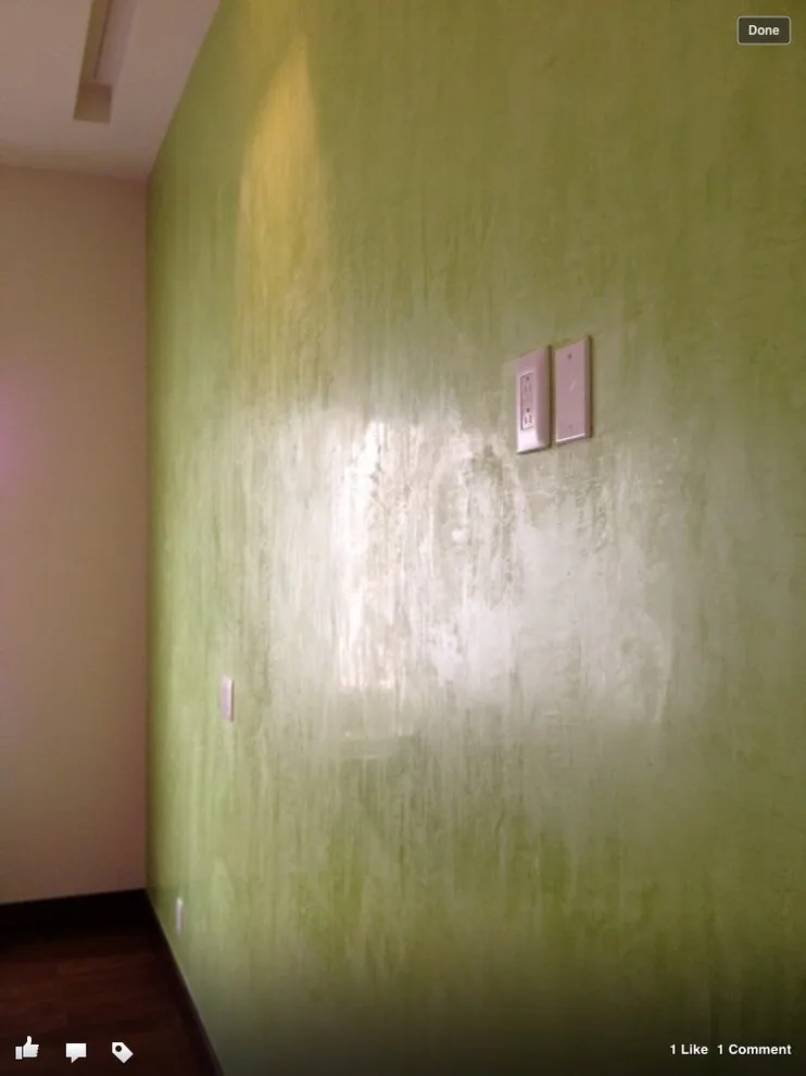 ornamental coating by Designing Cocepts - Photo 31