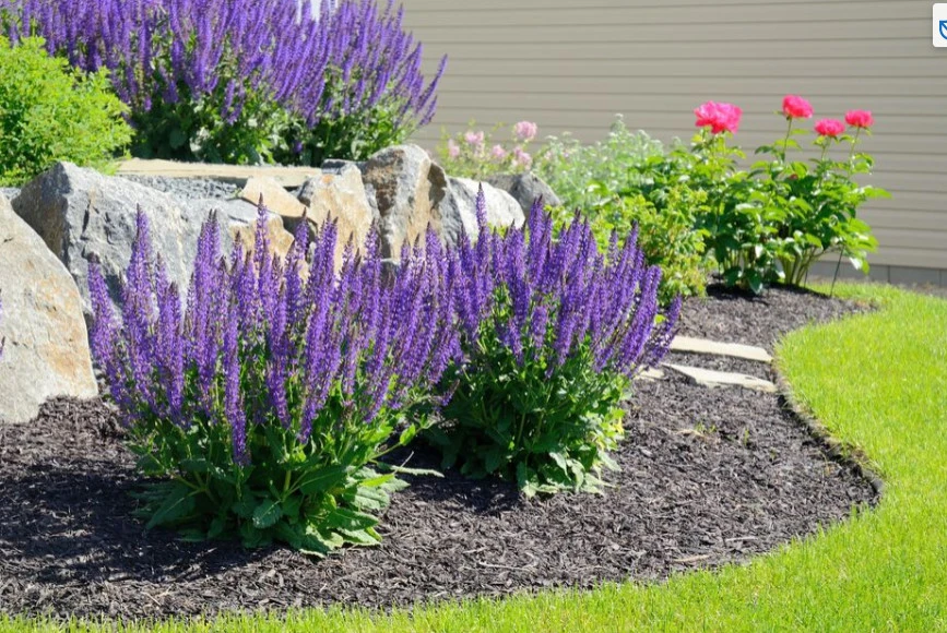 Flower Beds and Landscaping by Going The Extra Mile Landscape - Photo 2
