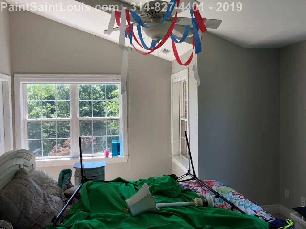 Des Peres - Summer 2019 Season by Paint Saint Louis, LLC - Photo 11