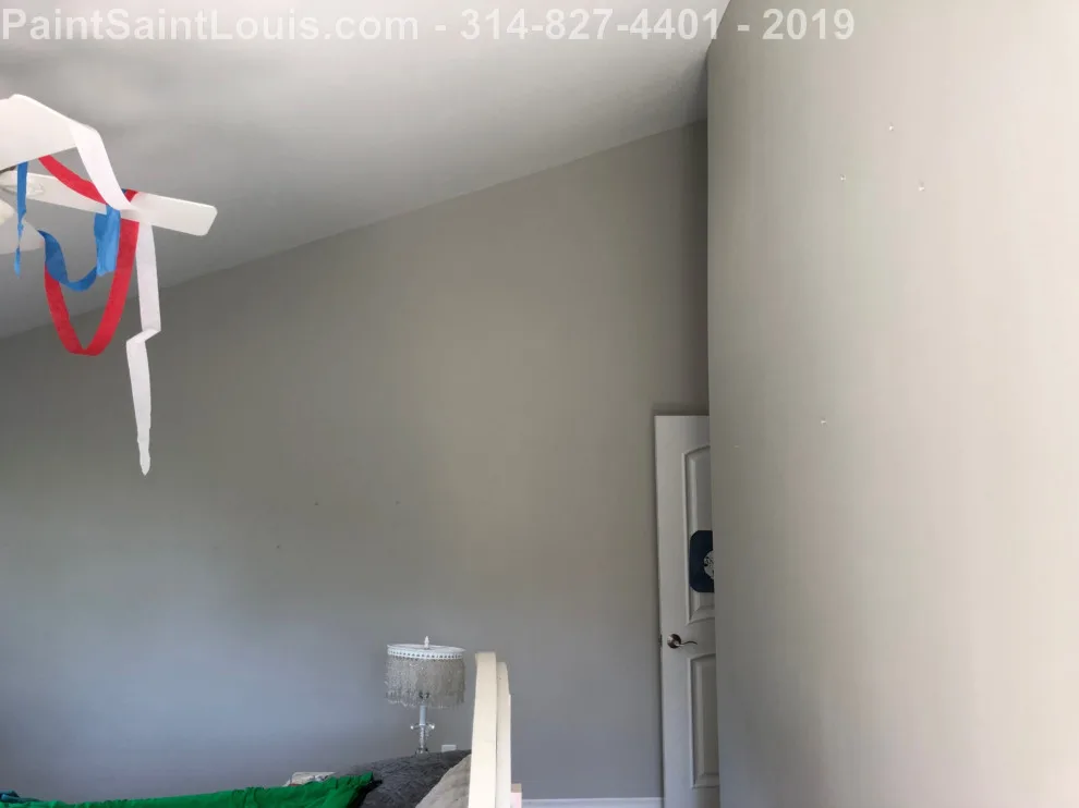 Des Peres - Summer 2019 Season by Paint Saint Louis, LLC - Photo 16