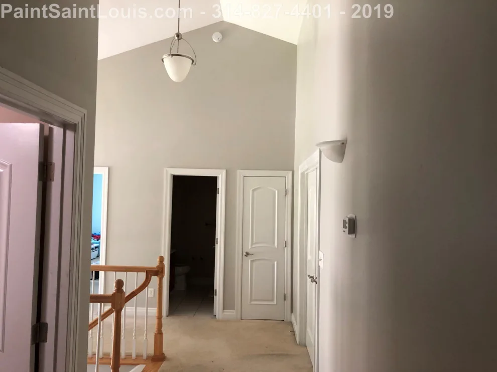 Des Peres - Summer 2019 Season by Paint Saint Louis, LLC - Photo 5