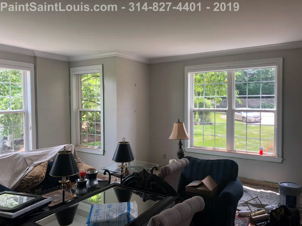 Des Peres - Summer 2019 Season by Paint Saint Louis, LLC - Photo 8