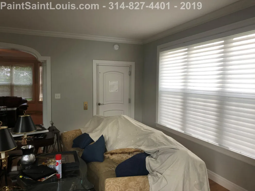 Des Peres - Summer 2019 Season by Paint Saint Louis, LLC - Photo 7