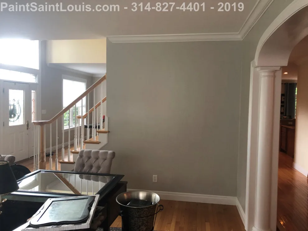 Des Peres - Summer 2019 Season by Paint Saint Louis, LLC - Photo 20