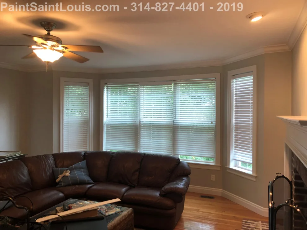 Des Peres - Summer 2019 Season by Paint Saint Louis, LLC - Photo 26