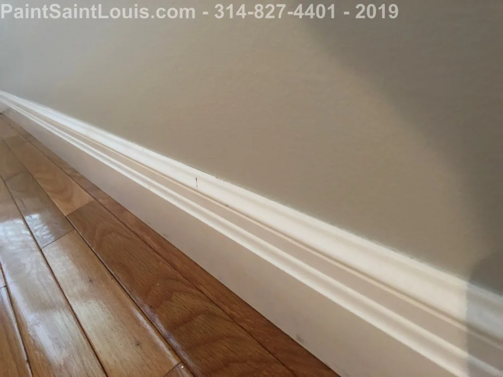 Des Peres - Summer 2019 Season by Paint Saint Louis, LLC - Photo 12