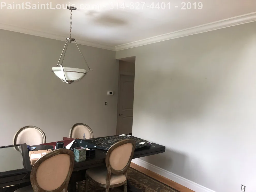 Des Peres - Summer 2019 Season by Paint Saint Louis, LLC - Photo 24