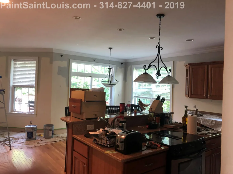 Des Peres - Summer 2019 Season by Paint Saint Louis, LLC - Photo 25