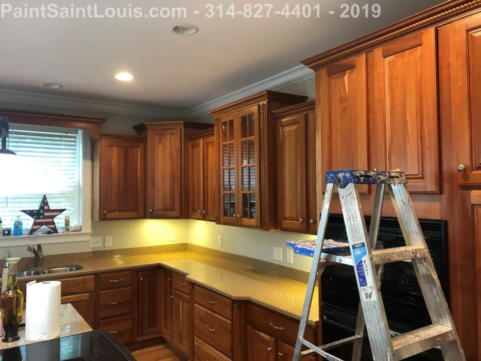 Des Peres - Summer 2019 Season by Paint Saint Louis, LLC - Photo 9