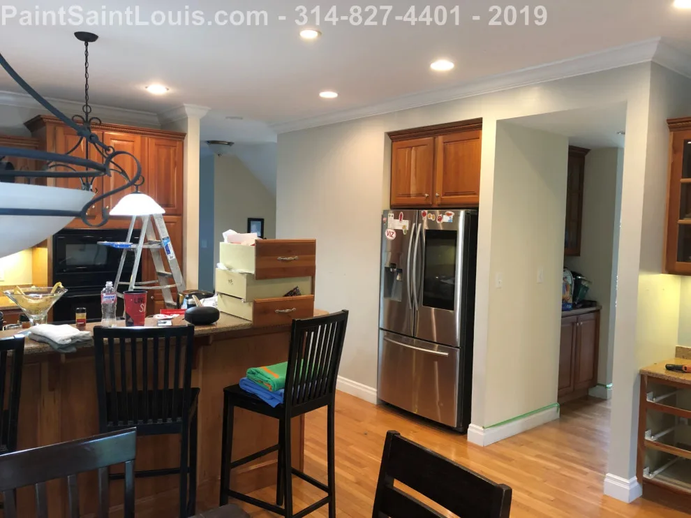 Des Peres - Summer 2019 Season by Paint Saint Louis, LLC - Photo 21