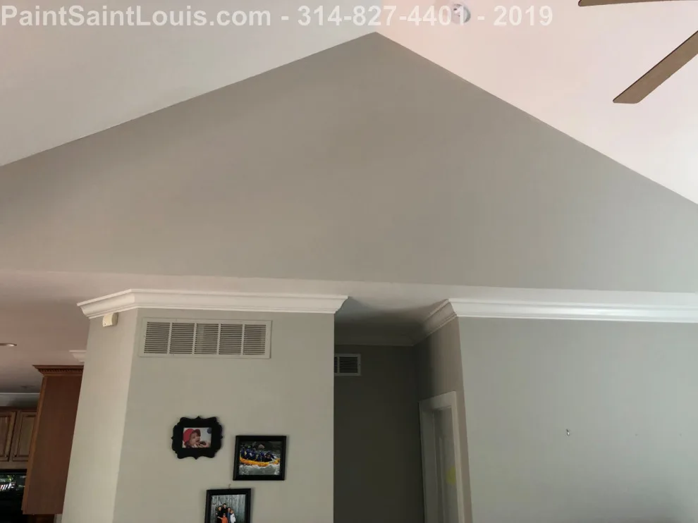 Des Peres - Summer 2019 Season by Paint Saint Louis, LLC - Photo 22